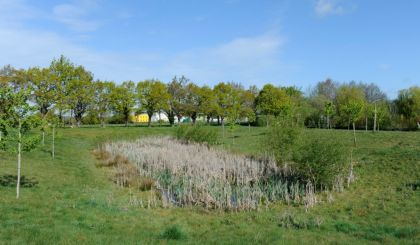 Image de l'opération photozoom.625