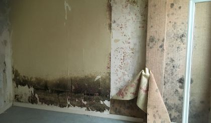 Image de l'opération PIG RHDI web 2