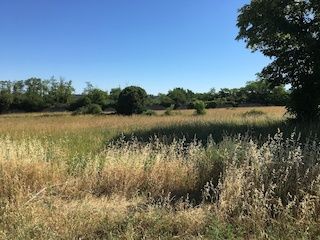 Image de l'opération 00120998