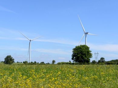 Image de l'opération 00164433