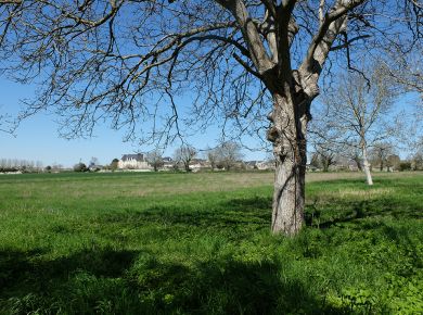 Image de l'opération 00202559 web