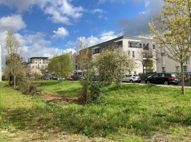 Image de l'opération 00203963