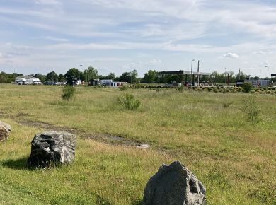 Image de l'opération 00208368 web