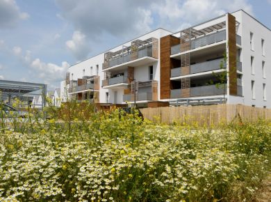 Image de l'opération 00229741