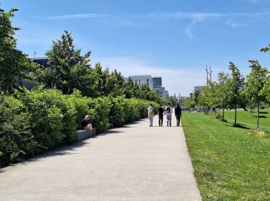 Image de l'opération 00299547