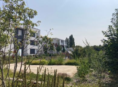 Image de l'opération 00312328(1)