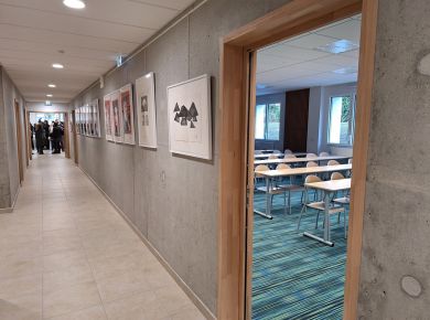 Image de l'opération 00333588_web