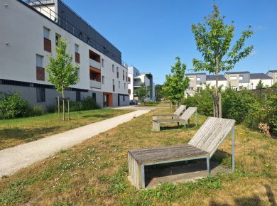 Image de l'opération 00403132