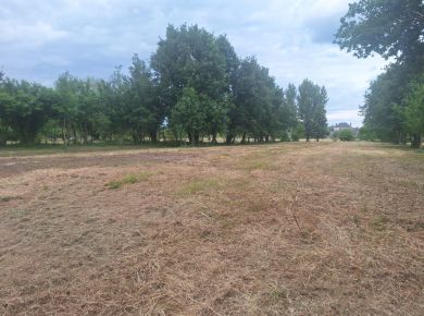 Image de l'opération 00403798