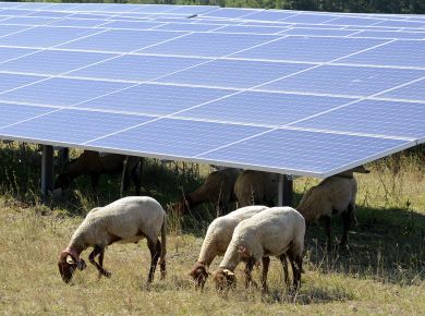 Image de l'opération 2020-06-01 ALTER La ferme voltaique 28 web