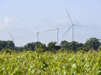 Image de l'opération 2021-06-25 ALTER Chanzeau Parc Eolien 01 web