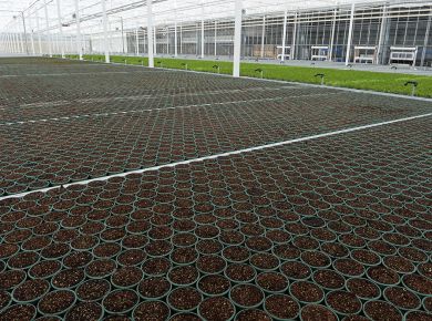 Image de l'opération 2021-06-29 ALTER BioPlants Angers 54 web