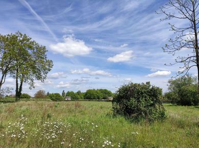 Image de l'opération 2021_Photo diag champs - (c) MAGNUM_web