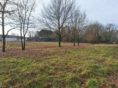 Image de l'opération 20250218_102131 web