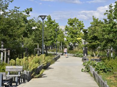 Image de l'opération ALTER2022_040