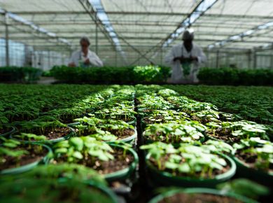 Image de l'opération DSC01086 web