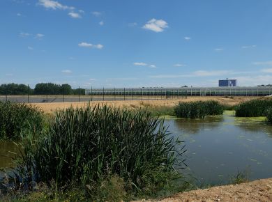 Image de l'opération DSCF0066 web