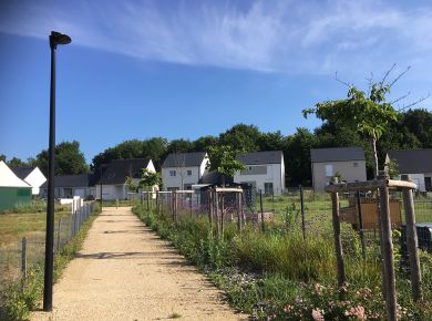 Image de l'opération IMG_1665