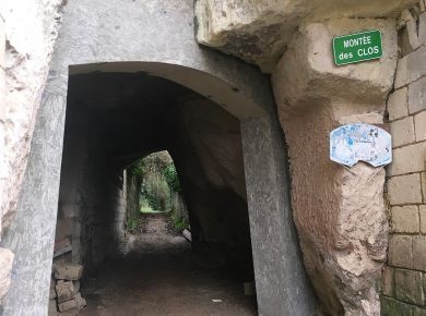 Image de l'opération IMG_2661 (2)