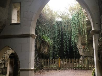 Image de l'opération IMG_2666 (1)