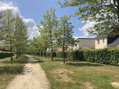 Image de l'opération IMG_4977