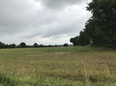 Image de l'opération IMG_6041-web