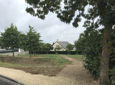 Image de l'opération IMG_6044web