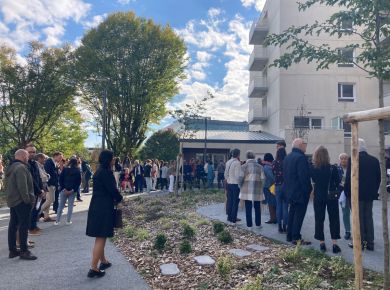 Image de l'opération IMG_9478