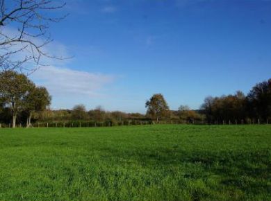 Image de l'opération Insertion paysagere Chazé-Henry 4