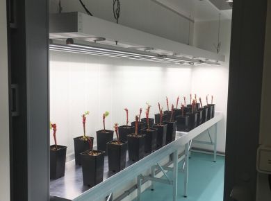 Image de l'opération internet