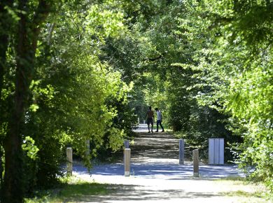 Image de l'opération internet 2