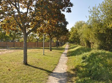 Image de l'opération internet 2