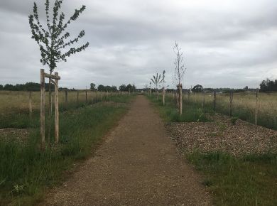 Image de l'opération internet 2