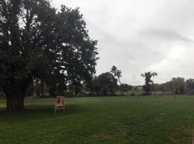 Image de l'opération internet 3