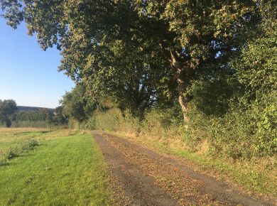 Image de l'opération internet 4