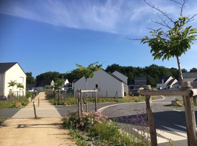 Image de l'opération jeux 1