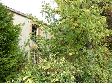 Image de l'opération P1000687 web