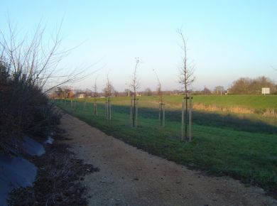 Image de l'opération photo.426