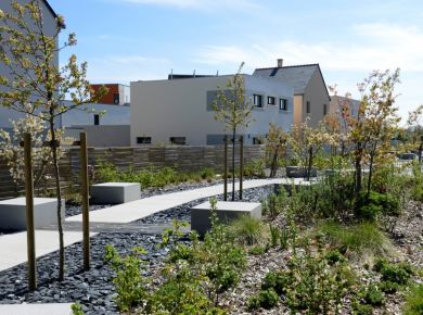 Image de l'opération photozoom.1090