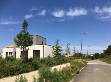 Image de l'opération photozoom.1155