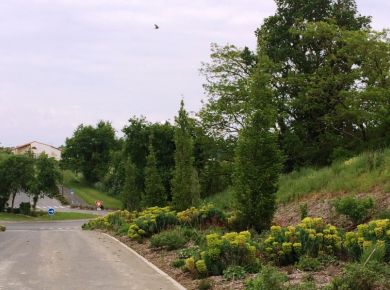 Image de l'opération photozoom.1156