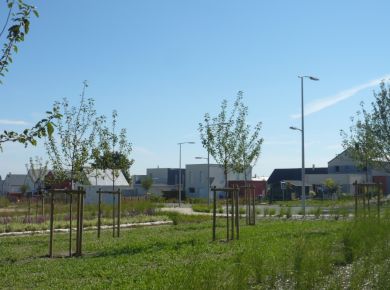 Image de l'opération photozoom.260