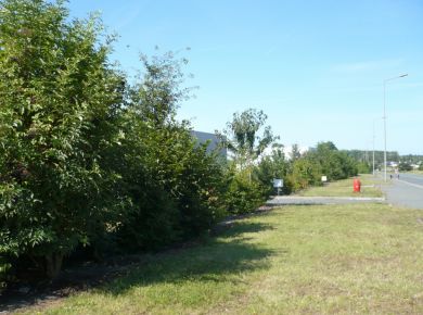 Image de l'opération photozoom.347