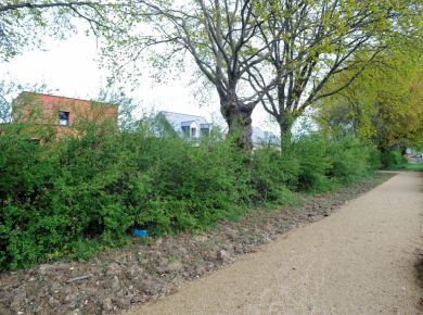 Image de l'opération photozoom.612