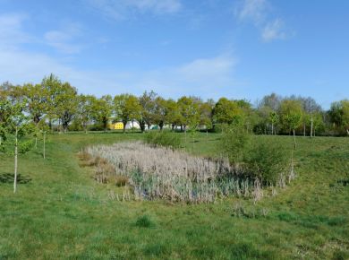 Image de l'opération photozoom.625