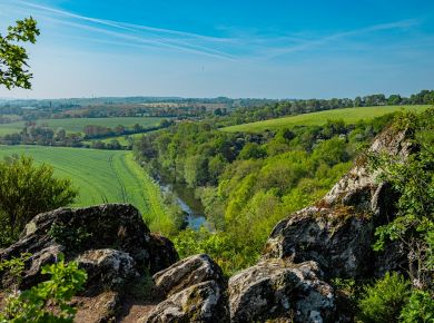 Image de l'opération Saint-Rémy_2