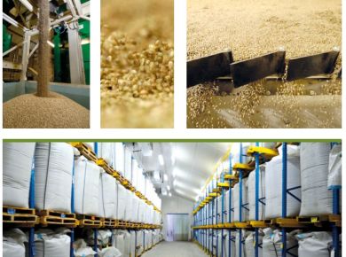 Image de l'opération usine