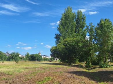 Image de l'opération Vivy ©Alter