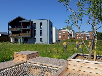 Image de l'opération 2020-05-28 ALTER Reportage 64 internet