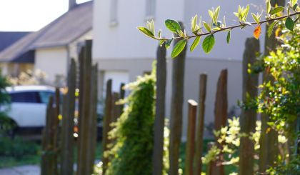 Image de l'opération 00390232